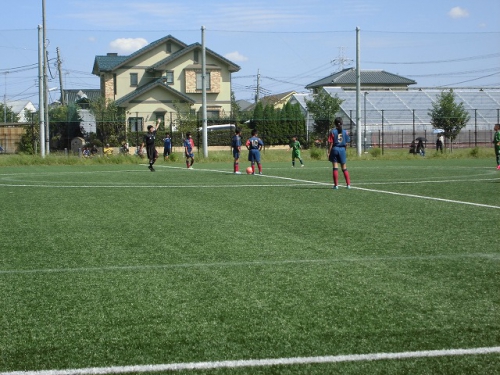 CIMG0479.jpg
