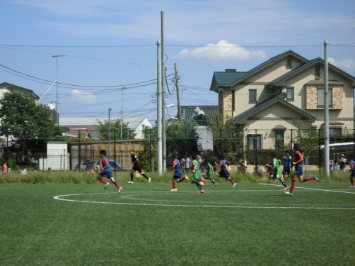 CIMG0484.jpg