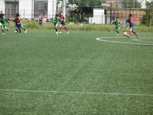CIMG0488.jpg