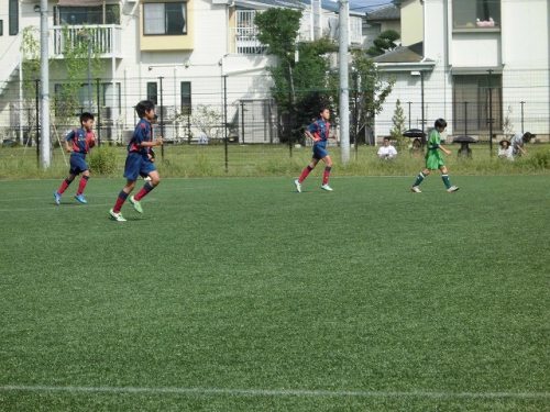 CIMG0490.jpg