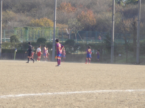 DSC07115.JPG