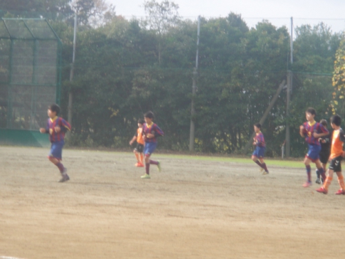 DSC07142.JPG
