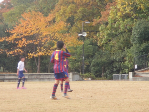 DSC07153.JPG