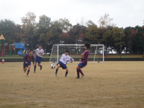 DSC07155.JPG