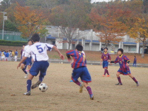 DSC07157.JPG