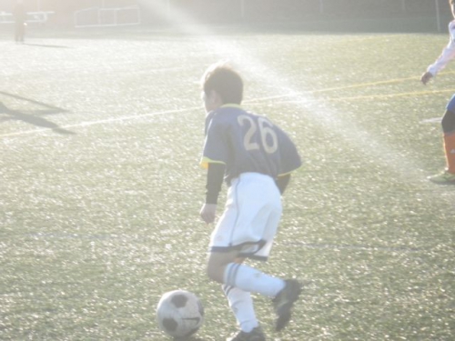 IMGP2244.JPG