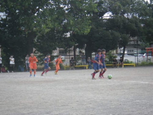 IMGP5128.JPG