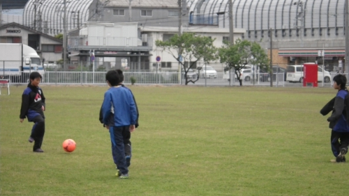 IMGP5498.JPG
