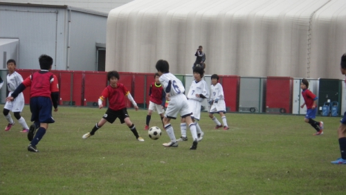 IMGP5508.JPG