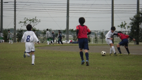 IMGP5509.JPG