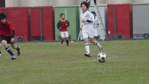IMGP5521.JPG