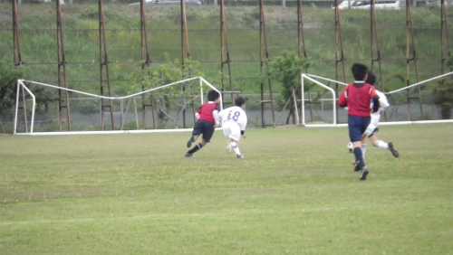 IMGP5530.JPG
