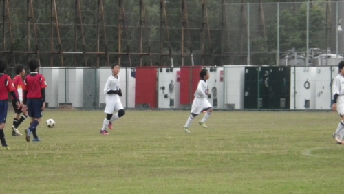 IMGP5532.JPG