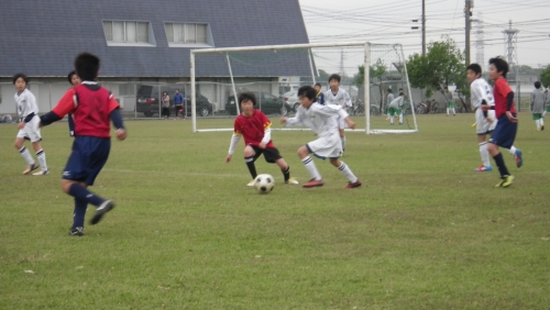 IMGP5534.JPG