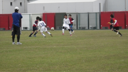 IMGP5537.JPG