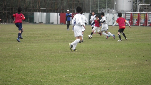 IMGP5538.JPG