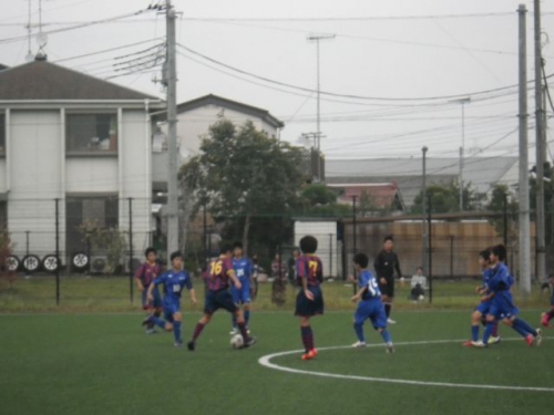 IMGP5559.JPG