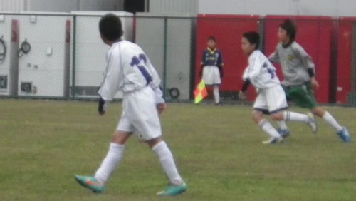 IMGP5559.JPG
