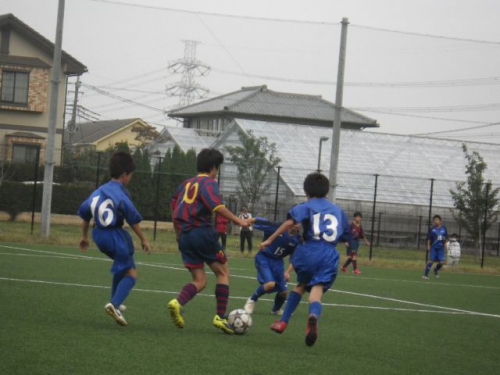 IMGP5568.JPG