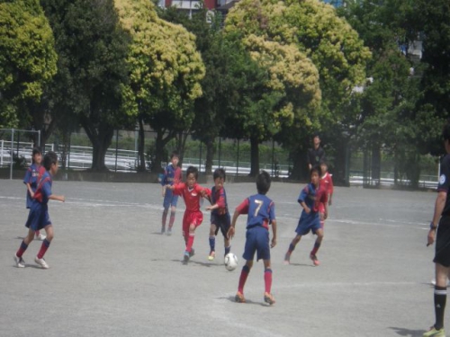 IMGP5774.JPG