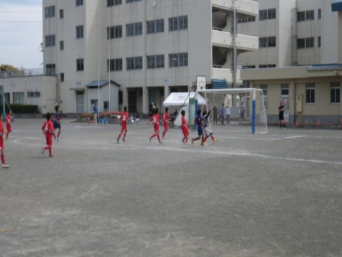 IMGP5782.JPG