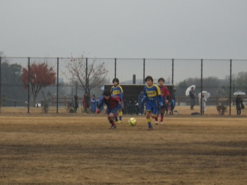 IMGP5988.JPG