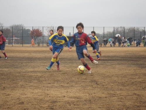 IMGP6006.JPG