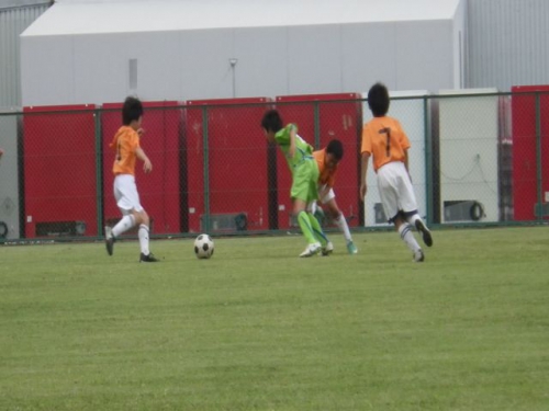 IMGP6190.JPG