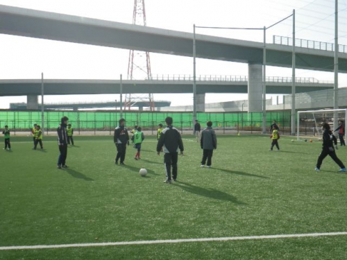 IMGP6228.JPG