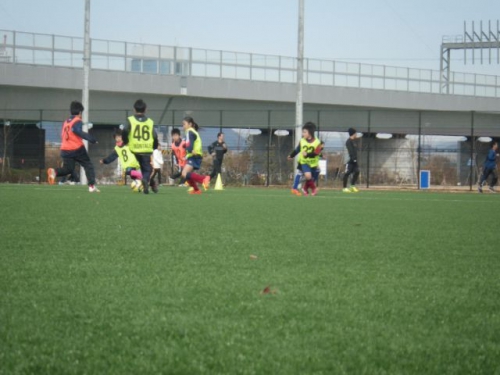 IMGP6230.JPG
