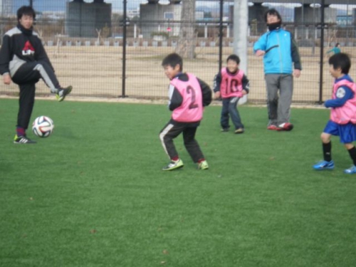 IMGP6243.JPG