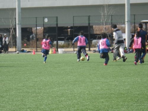 IMGP6252.JPG