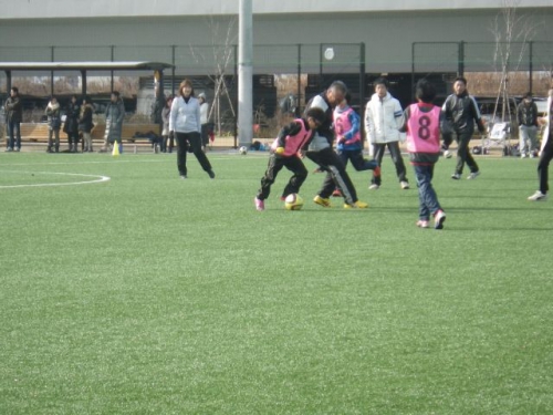 IMGP6254.JPG