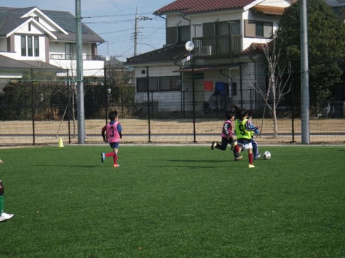 IMGP6284.JPG
