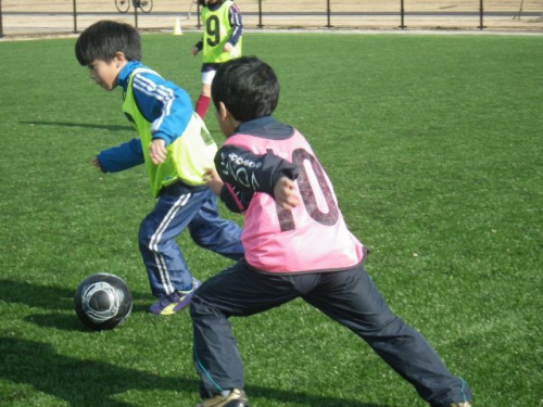 IMGP6285.JPG