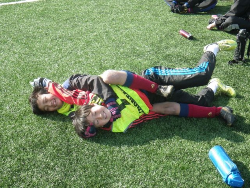 IMGP6310.JPG