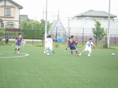 IMGP7123.jpg