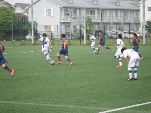 IMGP7124.jpg