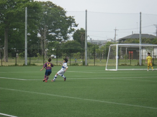 IMGP7125.jpg