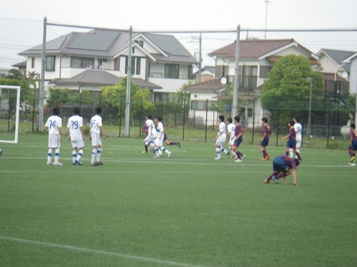 IMGP7130.jpg