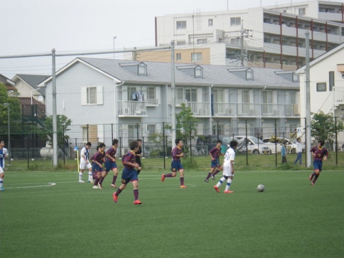 IMGP7133.jpg