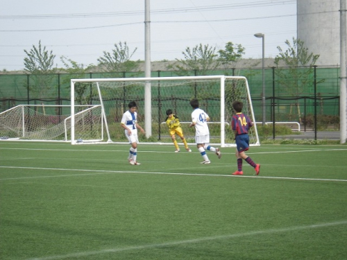 IMGP7137.jpg