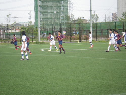 IMGP7145.jpg