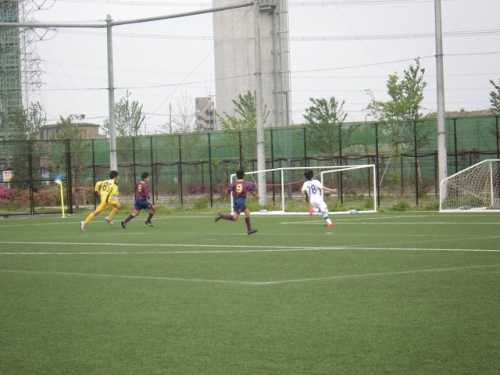 IMGP7146.jpg