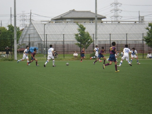 IMGP7150.jpg