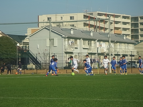 RIMG0271.JPG