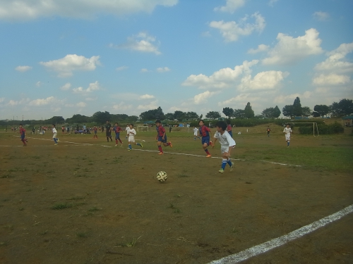 RIMG0875.JPG