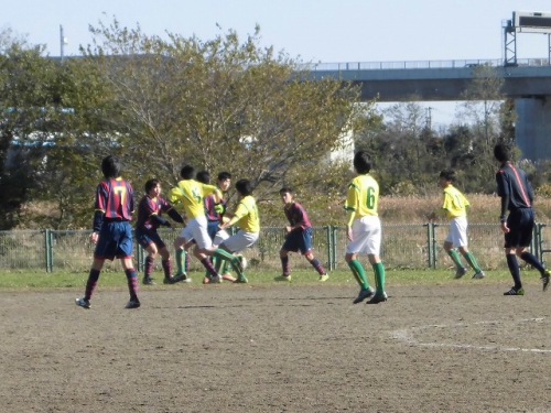 CIMG0610.jpg
