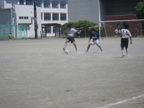 IMGP0046.jpg
