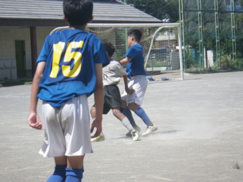 IMGP0050.jpg